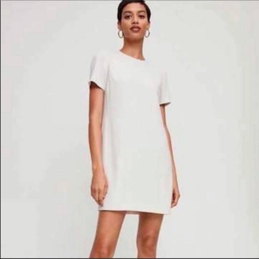Aritzia shift dress